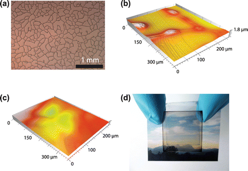 Figure 4. (a) Optical microscopy image of the commercial substrate that consists of a random mesh-like silver network on PET. Optical confocal microscopy images of the laminate electrode when coating with a ~450 nm thick (b) and ~1.3 μm thick (c) PEDOT:PSS:sorbitol film. For small film thicknesses (b), the metal network is not fully covered. (d) Photograph of the semitransparent, laminated cell.