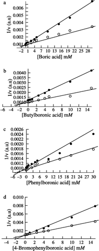 Figure 1 Dixon plots for the boric and phenylboronic acids. The competitive inhibition constant (Ki) was determined for each inhibitor based on the urease activity at urea concentrations of 0.1, 0.2 M and an enzyme concentration of 2.07 μg/mL by using standard assay conditions as described in the Materials and Methods. (a) Boric acid (b) Butylboronic acid (c) Phenylboronic acid and (d) 4-Bromophenylboronic acid.