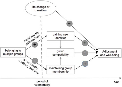 Figure 1. SIMIC identifies two key pathways that help people cope with identity change in the face of major life transitions and events. The first is a social identity gain pathway associated with the acquisition of new group memberships; the second is a social identity continuity pathway associated with the maintenance of pre-existing group memberships. Both pathways are more likely to be accessible the more group memberships a person had prior to the life transition. The impact of the two pathways on health and well-being also depends on the compatibility of the social identities they involve. Figure adapted from Haslam et al. (Citation2018).