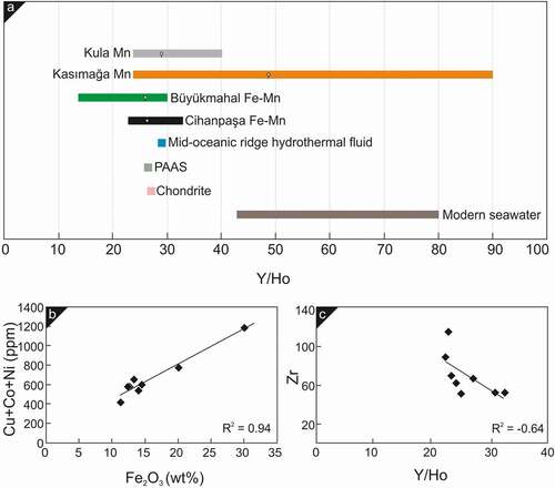 Figure 8. a Y/Ho values of the Cihanpaşa Fe-Mn, Kula Mn (Kılıç et al., Citation2018), Kasımağa Mn (Koç et al., Citation2000), Büyükmahal Fe-Mn (Öksüz & Okuyucu, Citation2014) deposits from Turkey and some materials of the Earth (Bau & Dulski, Citation1999; Bolhar & Kranendonk, Citation2007; Nozaki et al., Citation1999) b Diagram illustrating strong positive correlation between Cu+Co+Ni (ppm) and Fe2O3 (wt%) c Zr vs. Y/Ho diagram for the Fe-Mn ores from the Cihanpaşa region (central Turkey) (R shows the correlation coefficient between Zr and Y/Ho) c Strong correlation Fe2O3 and Cu+Co+Ni (ppm) in the Cihanpaşa Fe-Mn mineralisation