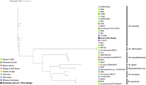 Figure 1. A phylogenetic tree based on core gene alignments of M. kansasii complex (MKC) species. Coloured circles indicate the isolate determined by deposited information from the archived NCBI BioSample database.