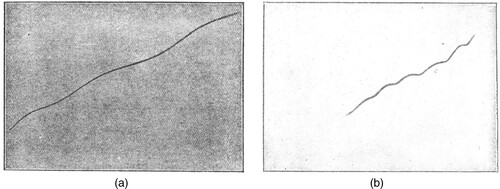 Figure 1. (a) In this case, the glider consisted of two square aerofoils at an angle of 10° to one another. This trajectory (some 24 feet long) corresponds to the phugoid mode (Bryan and Williams Citation1904b). (b) Glider trajectory with plane aerofoils at 10°. Here, the modulation is due to excitation of the high-frequency mode (Bryan and Williams Citation1904b)