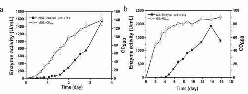 Figure 1. Cell density (OD600) and enzyme activity during pRML and MDL production