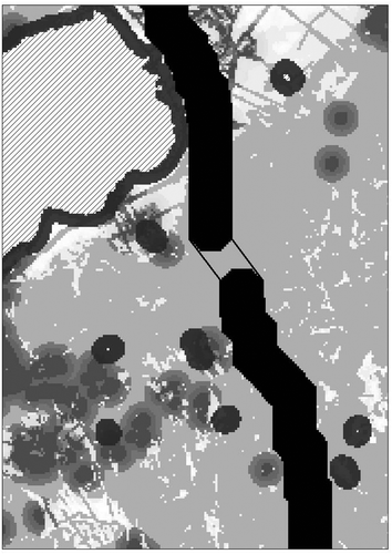 Figure 13. An example of a distortion reduction by threading non-8-adjacent octagons (outlined) over an area of constant cost