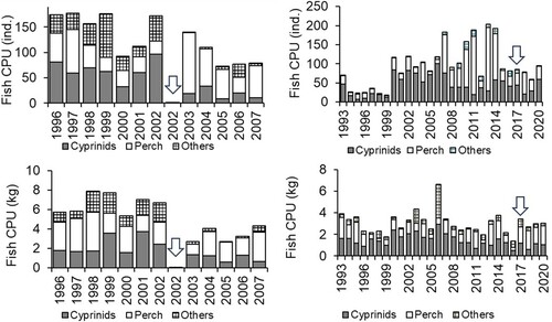 Figure 11. Catch per unit effort (CPU, [gillnet night]−1) of cyprinids, perch, and other fish species as numbers (top) and biomass (bottom) in Nordic nets in 1996–2007 in Kirkkojärvi (left) and 1993–2020 in Littoistenjärvi (right). Block arrows indicate the date of aluminum treatment.