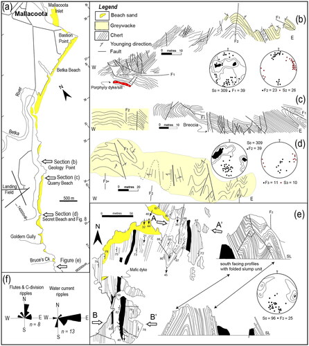 Figure 4. Location of the structures immediately south of Mallacoota township (adapted from Wilson et al., Citation1982). (a) Location map of coastal exposures between Bastion Point and Bruces Creek. (b) A composite section in the region of Geology Point. The eastern portion is dominated by upward facing sandstones with intercalated shale containing south plunging F2 folds. The western portion is dominated by an F1 fold in laminated chert and mudstone, which is faulted and folded by F2 folds with steep axial surfaces (S2). The junction between the two sequences is faulted, and an undeformed porphyry intrusion is located in the northeastern chert outcrop. (c) A section adjacent to the car park at Quarry Beach in a laminated chert-pelagic mudstone succession with a landward or west F1 fold-vergence. (d) Refolded F2 folds in the turbidite sequence with an excellent crenulation cleavage associated with F3 folds. (e) Map of coastal exposures south of Bruces Creek and two cross-sections (A–A′ and B–B′) illustrating a slump unit in the turbidites folded by the south-plunging F2 folds. SL, sea-level. (f) Paleocurrent directions restored to pre-folding orientations in this section of coastal exposures. All stereonet plots of structural data in this and subsequent figures are equal-area lower-hemisphere projections.