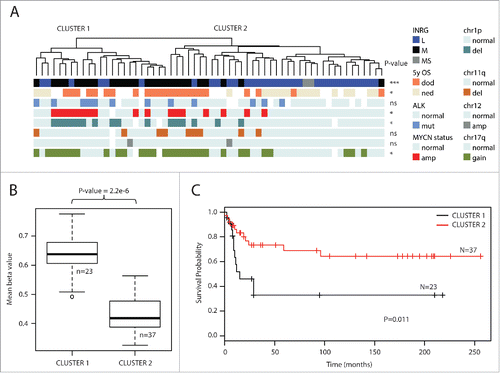 Figure 1. Top 1% most variable sites. (A) Clustering dendrogram from hierarchical clustering. Differences between clusters were tested with χ2 statistics (except for chr11q and chr12 that were tested with Fisher exact test due to low numbers). Abbreviations: amp, amplified; del, deletion; OS_5y, Overall survival 5 years; dod, dead of disease; ned, no evidence of disease (>60 months; samples with ned <60 months were blanked in display); chr1p, chromosome 1p; chr11q, chromosome 11q; chr12, chromosome 12; chr17q, chromosome 17q; ns, non-significant. (B) Boxplot presenting mean methylation level in cluster 1 compared with cluster 2 (P-value < 2.2×10−16, Student t-test). Upper and lower hinges of the box represent the 75th percentile and 25th percentile respectively; whiskers indicate the highest and lowest values that are not outliers; thick horizontal line within box, median. Open circles represent outliers. (C) Kaplan-Meier plot representing survival probability of cluster 1 and cluster 2. (P=0.011; log-rank test).