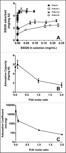 Figure 2. Effect of phosphate substitution of AlOOH on adsorptive capacity. (A) Langmuir adsorption isotherms of E6020 on AlOOH with increasing P/Al ratio were obtained at 25°C and pH 7.4 Effect of P/AL ratio on the adsorption capacity (B) and adsorptive coefficient (C) obtained for the adsorption of E6020 onto AlOOH. Error bars represent the standard deviation from the mean (n = 2).
