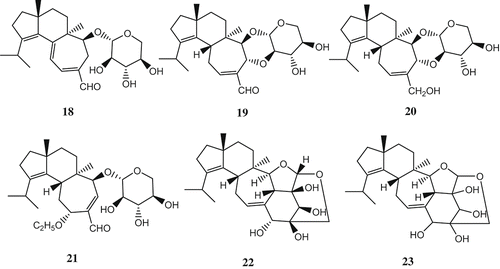 Scheme 3. Structures of compounds 18–36.