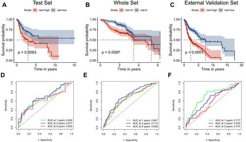 Figure 4 Validation of the six-gene signature. The external validation set analysis from GSE65858. Kaplan–Meier survival analysis was performed for the six-gene signature in the internal validation set (A) the entire set (B) and the external validation set (C). Time-dependent receiver operating characteristic analysis of the six-gene signature was used in the internal validation set (D) the entire set (E) and the external validation set (F).