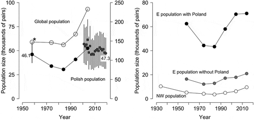 Figure 4. Changes in the number of breeding pairs in the white stork populations (see Tables III, S3 and S4 for source data).Left panel – development of the white stork populations in Poland and worldwide as obtained from consecutive international censuses 1958–2004 (black and pale grey dots) and changes of the Polish population revealed by the Monitoring of Birds of Poland (Chodkiewicz et al. Citation2018; Chylarecki et al. Citation2018) in 2001–2019 (dark grey dots). Dots show means and whiskers 95% CrI. Figures present the earliest (1958, this study) and the most recent (2019) assessments of the Polish population size in thousands of pairs. A star indicates an incomplete census. Right panel – development of the eastern core population (including and excluding number of pairs breeding in Poland) and north-western peripheral population of the white stork (Schulz Citation1999) as obtained from consecutive international censuses. Six countries per each subpopulation are included, i.e. those having complete series of national assessments from the censuses in 1958–2014 and 1934 in NW population