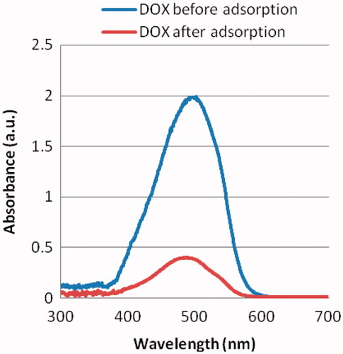 Figure 2. Representative absorbance of 1.0 mg/mL doxorubicin (DOX) before and after adsorption. About 0.2 mg/mL of the added 1.0 mg/mL DOX is remained in the supernatant after facilitating adsorption to nanodiamond–doxorubicin complexes. The absorbance peak of nanodiamond–doxorubicin is found at 495 nm.