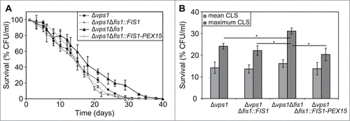 Figure 2. Exclusive sorting of Fis1 to peroxisomes does not result in lifespan extension. (A) Chronological lifespans of Δvps1, Δvps1Δfis1, Δvps1Δfis1::FIS1 and Δvps1Δfis1::FIS1-PEX15 cells. Data represent mean ± SEM from at least 2 experiments. (B) Statistical analysis for mean and maximum lifespans of strains presented in panel A. #, p < 0.001.