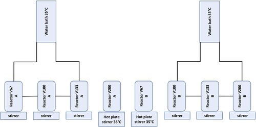 Figure 1. Set up of first two replicates of the dilution experiment.