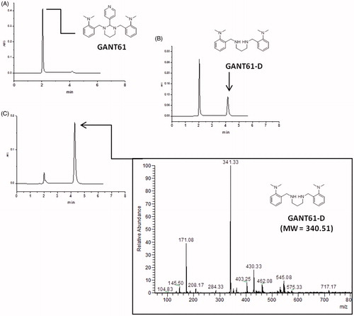 Figure 3. HPLC-UV chromatograms acquired during the time showing the disappearance of GANT61 and the formation of GANT61-D. Sample: GANT61 in CH3CN/100 mM NH4OAc (pH 4.5) = 95/5 (v/v) (1 mg/ml), column: Acclaim HILIC-10, 3 μm (150 × 4.6 mm I.D.), mobile phase: CH3CN/100 mM NH4OAc (pH 4.5) = 95/5 (v/v), flow-rate: 1.0 ml/min, detection: UV at 254 nm. (A) t = 0 min; (B) t = 30 min; (C) t = 24 h. The ESI-MS (pos.) spectrum of GANT61-D is included in the box for unequivocal identification.