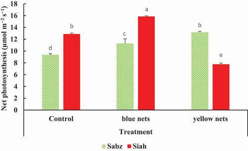 Figure 3. The combined effects of nets and fig cultivars on leaf net photosynthesis (CO2 assimilation rate). Means (n = 3) followed by different letters are significantly different at p < .05 (LSD test)