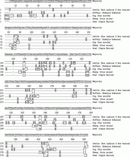 Figure 4.  Nucleotide sequence alignment reports of mitochondrial 16S rRNA gene of cattle, buffalo, sheep, goat and pig. Note: A dot indicates identity with the majority at the given position.