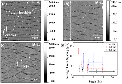 Figure 2. (colour online) AFM images of strained (a) 50 nm, (b) 100 nm and (c) 200 nm Cu films. The white arrow in (b) indicates the tensile direction for all images. (d) Average channel crack spacings of 50, 100 and 200 nm thick Cu films. The channel crack saturation range is indicated by straight lines to guide the eye.