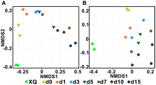 Figure 3. NMDS ranking of microbial community in fermented grains. Bacteria (A) and fungi (B). A closer distance between points indicates higher similarity; n = 2.
