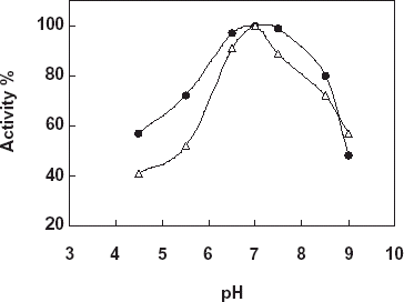 Figure 4. Determination of pH stability of free and immobilized catalase, -Δ-: free catalase, -•-: immobilized catalase.