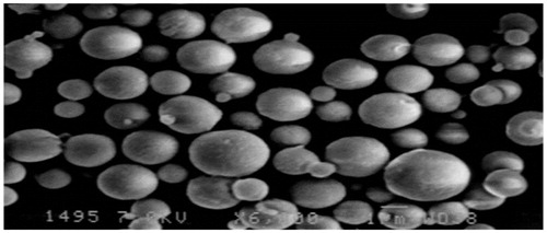 Figure 1. SEM image of spray dried guar gum nanoparticles.