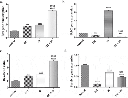 Figure 2. Anti apoptotic effect of IR and/or I3C on MDA-MD-231 cell line. (a) the cell treatment with I3C and/or IR significantly upregulated the expression of Bax compared to the control group. (b) The cell treatment with I3C and combined significantly downregulated the expression of Bcl2. Meanwhile IR significantly upregulated Bcl2 expression compared to the control. (c)The statistical analysis of Bax/Bcl2 ratio pointed out the significant proapoptotic effect of combined therapy, IR and I3C compared to control group, respectively. The combined therapy significantly upregulated Bax/Bcl2 ratio compared to IR group. (d) The I3C, combined therapy and IR significantly downregulated the expression of the anti apoptotic SVV compared to the control group, respectively. Significance was denoted *as p < 0.05 as compared to control and significance was denoted $ as p < 0.05 as compared to IR.