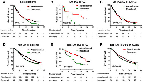 Figure 2 Impact of PD-L1 strong expression on efficacy of atezolizumab versus chemotherapy regarding liver metastasis (LM). Kaplan-Meier estimates of overall survival (OS) comparing atezolizumab and docetaxel in (A) all LM patients, (B) LM patients with a PD-L1 expression level of TC3 or IC3, (C) LM patients with a PD-L1 expression level of TC 0/1/2 or IC0/1/2, (D) all non-LM patients, (E) non-LM patients with TC3 or IC3, and (F) non-LM patients with TC0/1/2 or IC0/1/2.