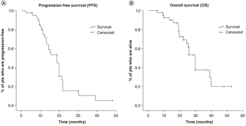 Figure 1. Kaplan–Meier curves in the overall population. (A) Reports PFS, (B) reports OS.OS: Overall survival; PFS: Progression-free survival.