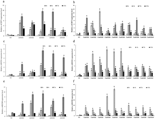 Figure 2. Relative RNA expressions of Arabidopsis thaliana (At)CBF2, AtRD29A, and AtRD29B genes in non-transgenic (NT) Arabidopsis plants and transgenic Arabidopsis lines under chilled conditions.A. The AtCBF2 gene expression in NT plants and T3 homozygote AtSOD1 ~ 5 lines,B. The AtCBF2 gene expression in NT plants and T3 homozygote CmSOD1 ~ 10 lines,C. The AtRD29A gene expression in NT plants and T3 homozygote AtSOD1 ~ 5 lines,D. The AtRD29A gene expression in NT plants and T3 homozygote CmSOD1 ~ 10 lines,E. The AtRD29B gene expression in NT plants and T3 homozygote AtSOD1 ~ 5 lines,F. The AtRD29B gene expression in NT plants and T3 homozygote CmSOD1 ~ 10 lines,Total RNA in all tested plants was extracted from 2-week-old plants subjected to 4°C for 0 (control), 6, 72, and 192 h of chilling treatment. Relative amounts were calculated and normalized with respect to AtActin-8 RNA. Values are the means of three replicates with the corresponding standard deviation. The gene expression is compaired to NT plants and an asterisk indicates a significance level of p ≤ 0.05.