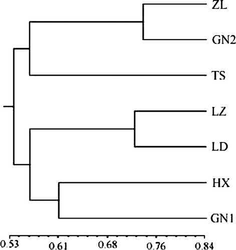 Figure 2.  Dendrogram of seven Alfalfa populations generated by UPGMA cluster analysis of similarity values. Note: ZL, Zhonglan-1; GN2, Gannong-2; TS, Tianshui; LZ, Longzhong; LD, Longdong; HX, Hexi; GN1, Gannong-1.