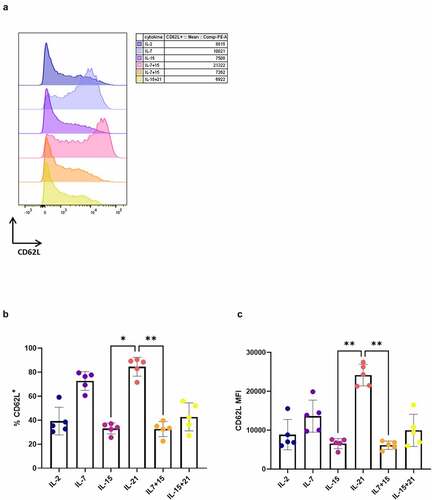 Figure 6. Addition of IL-21 during expansion of TCR-transduced PBL results in T cells with high CD62L expression. CD62L expression after polyclonal feeder expansion of WT1 TCR-transduced PBL, gated on eGFP+ transduced cells for (a) and (b), or eGFP+ CD62L+ cells for (c). (a) Expression (left) and MFI (right) for CD62L for a representative PBL donor (of a total of 5 donors). Percentage of CD62L+ cells (b) and MFI for CD62L within these cells (c). Individual values and mean ± SD of 5 donors is shown. Results were compared using Kruskal–Wallis test followed by Dunn’s multiple comparisons test. p-value < 0.05 (*), p-value < 0.01 (**)