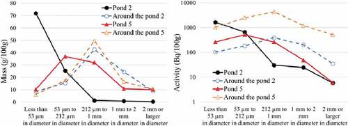 Figure 12. Mass distribution and radioactivity distribution for each particle size of soil in the sedimentary soil surface and surface soil around ponds 2 and 5