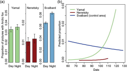 Figure 5. (a) Average proportion of photographs with Arctic foxes during day (07:00–19:00) and night (19:00–07:00) at the three Arctic study sites with low snowmobile traffic in Nordenskiöld Land (Svalbard), and in Nenetsky and Yamal (Russia). The error bars indicate 95% CIs estimated from a binomial distribution. (b) Predicted proportion of photographs with Arctic foxes during spring at the three study sites with low snowmobile traffic in Nordenskiöld Land in Svalbard, and in Nenetsky and Yamal in Russia, as predicted by the selected GLMM. Proportions were predicted for the fixed effect variables only.