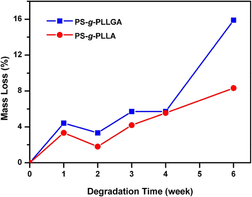 Figure 5 Mass losses for PS-g-PLLA and PS-g-PLLGA.