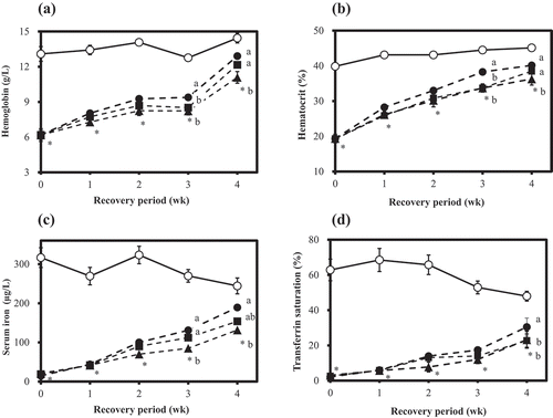 Figure 2. Hemoglobin (a), hematocrit (b), serum iron concentration (c) and transferrin saturation (d) of rats fed the experimental diets. (Exp. 2).Rats were fed the experimental diets shown in Table 2 for 28 d.○ Control, ▲MBCa-0，■ MBCa-3, ●MBCa-6Transferrin saturation (%) = ［Serum iron (µg/dL)/(Unsaturated iron-binding capacity (µg/dL) + serum iron (µg/dL))] ×100Values are expressed as mean±SE (n = 8).For the experimental groups, see Table 2. *Significantly different from the control group at p < 0.05 as determined by Student’s t-test. Means in the same week, not sharing the same superscript letter, are significantly different at p < 0.05 as determined by one-way ANOVA, followed by Tukey’s multiple-comparison test except Week 4 in Figure 2(a) and Week 3 in Figure 2(b), which are analyzed by the Steel-Dwass multiple-comparison test.