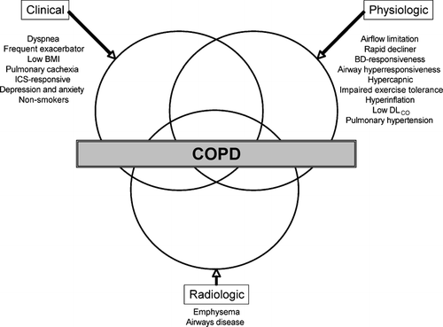Figure 2 Revised Venn diagram taking into account the expanded heterogeneity of COPD (BMI, body-mass index; ICS, inhaled corticosteroid; BD, bronchodilator).