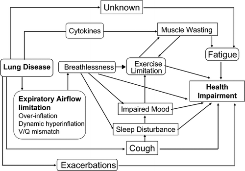 Figure 1 A model of COPD progression and consequences. The multiple consequences of COPD, including breathlessness, exercise limitation, muscle wasting, fatigue, and exacerbations.