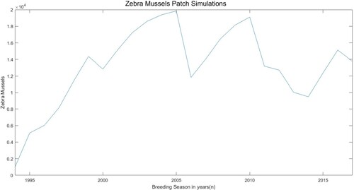 Figure 3. Simulation results for the total number of juveniles, small adults, and large adults in the one patch model using estimated parameters. The y-axis unit is the number of zebra mussels per square metre.