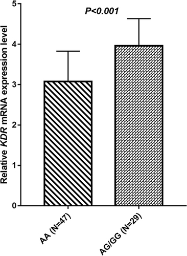 Figure 5 The relative expression level of KDR mRNA according to KDR rs2071559 genotype status.