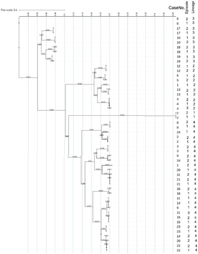 Figure 1. Phylogenetic tree scale.Unrooted tree scale that measures genetic distance between 50 genomes comprised of 22 pairs and two triplets. Genomes are listed by CaseNo., episode and lineage. The horizontal axis shows the scale representing the number of single nucleotide polymorphism (SNP)s divided by the sequence length; 0.100 is equivalent to 10%. CaseNo. 1, 9, 11, 14, 20, 24 (all episode 2) and 11 (episode 3) had SNPs >160 whose final tree scale positions were different from Episode 1 and 2. They were all lineage 4. The horizontal final position can also be obtained from Online Supplementary Table S1.
