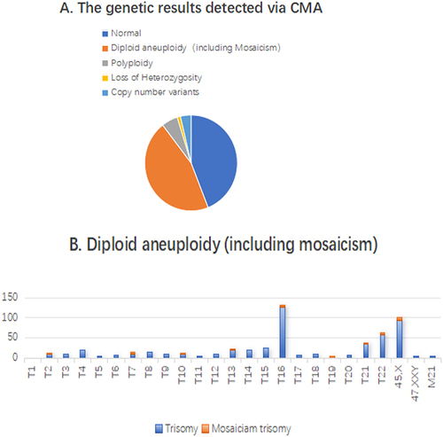 Figure 1 (A) Distribution of normal, diploid aneuploidy, polyploidy, loss of heterozygosity and copy number variants of miscarriage villous genetic results. (B) Distribution of single chromosome aneuploidy among the different human chromosomes.