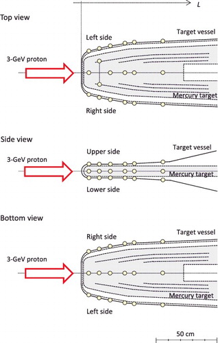 Figure 14. Schematic of the mercury target and detector positions (circles).