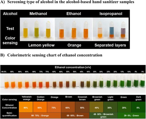 Figure 5. Color sensing of rapid colorimetric analysis for the alcohol tests: A) screening type of alcohol in the alcohol-based hand sanitizer samples and B) chart of ethanol concentration.