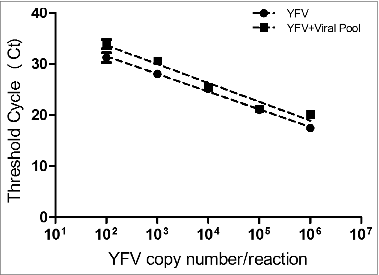Figure 1. Comparative analysis of Ct values generated by distinct concentrations of recombinant plasmid containing the 83 bp fragment from the NS5 region of the 17DD yellow fever virus (YFV) diluted in negative human serum (YFV standard curve) and in serum containing together Mumps virus, Dengue 1, 2 and 3 and Measles (YFV standard curve + viral pool).