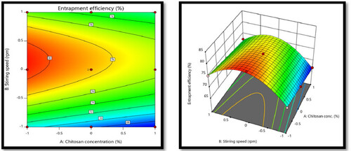 Figure 6. The response contour plot and response surface plot for Y2 (% entrapment efficiency).