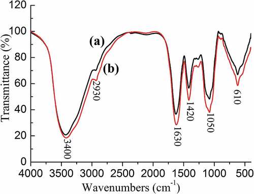 Figure 5. FTIR spectra of SDF from garlic straw. (a) Control; (b) SDF treated by ultrasound at power of 100 W and time of 20 min