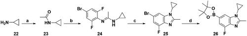 Scheme 4. Synthesis of the intermediate 26. Reagents and conditions: (a) i. TEA, Acetic anhydride, DCM, r.t., 8 h; ii. Et2O, K2CO3 r.t., 10 h; (b) 4-Bromo-2,6-difluoroaniline, POCl3, TEA, Toluene, reflux, 8 h; (c) t-BuOK, THF, 80 °C, 6 h; and (d) Bis(pinacolato)diboron, Pd(dppf)Cl2, KOAc, 1,4-dioxane, 100 °C, 10 h.