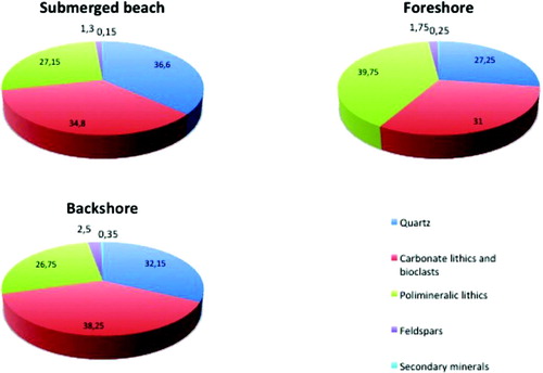 Figure 3. Pie charts showing petrographic compositions of sediments in different sub-environments of the study area coastal system.