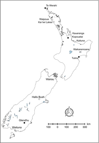 Figure 1. Location of the 12 sites from where capsules of Leptospermum scoparium were collected. Sites with closed circles have experienced fire since c. 3000 yr BP and those with open circles since human settlement in c. 1280 (Battersby Citation2014). Flammability experiments were conducted on material from all sites except Kai Iwi Lakes.