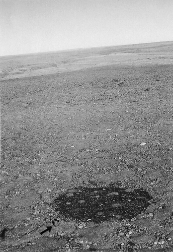 FIGURE 2.  A Minturn circle composed of syenitic erratics conspicuous in the patterned block field in central Inglefield Land. The surficial black color, caused by lichens of the Orphniospora moriopsis community, stands in stark contrast to the pale color of the other glacial erratics (granites and gneisses). Arrow at bottom left shows person for scale